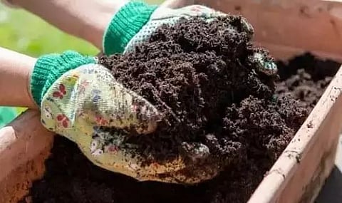 नागांव में सब्सिडी वाले खाद की दुकानों पर छापेमारी