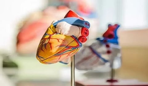 अमेरिकी शोधकर्ता: भारतीय दवा 2DG कोरोनावायरस से दिल की क्षति को कम कर सकती है