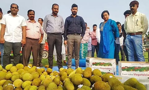 धुबरी से दुबई तक जैकफ्रूट और हरी मिर्च के निर्यात शुरू