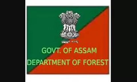 एफडी ने भूतल के निर्माण के लिए निविदा आमंत्रित की - 2022_PCCF_26735_1