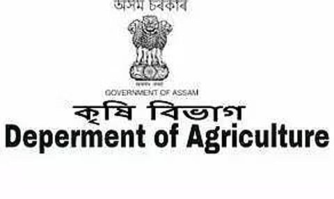 कृषि निदेशालय भर्ती 2022 - ऑफिस सपोर्ट स्टाफ वेकेंसी, जॉब ओपनिंग