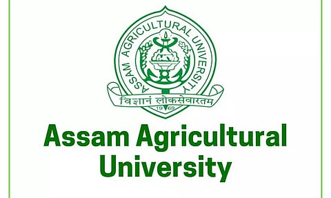 एएयू ने असम में संग्रहालय सह प्रशिक्षण हॉल के निर्माण के लिए निविदा आमंत्रित की