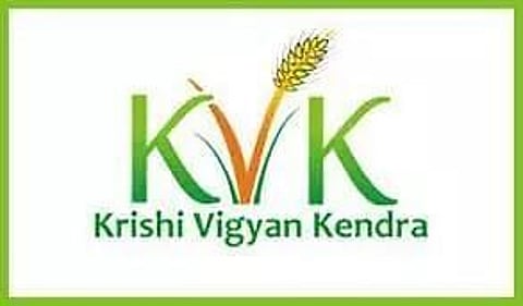 कृषि विज्ञान केंद्र भर्ती 2022: सीनियर रिसर्च फेलो रिक्ति, नवीनतम नौकरियां