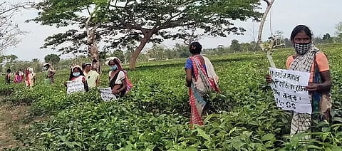 असम: चाय बागानों को 'निम्न गुणवत्ता' वाले राशन की आपूर्ति पर विरोध प्रदर्शन