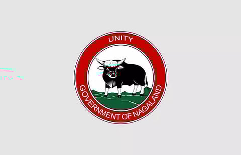 गैब-I नागालैंड भर्ती 2022 - युवा पेशेवर रिक्ति, नौकरी के अवसर