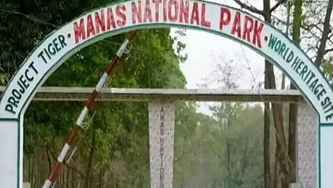 मानस टाइगर रिजर्व से बायोकार्बन अंतरराष्ट्रीय बाजार में बेचा जाएगा