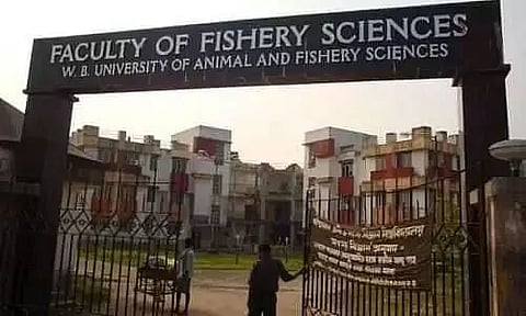 डब्ल्यूबीयूएएफएस भर्ती 2022 - सीनियर रिसर्च फेलो, नौकरी के अवसर