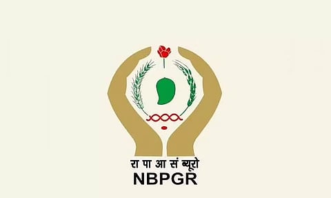NBPGR भर्ती 2022 - जूनियर रिसर्च फेलो वेकेंसी, जॉब ओपनिंग