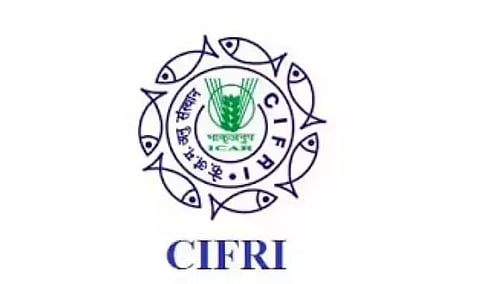 सीआईएफआरआई भर्ती 2022 - युवा पेशेवर- II, नौकरी के अवसर