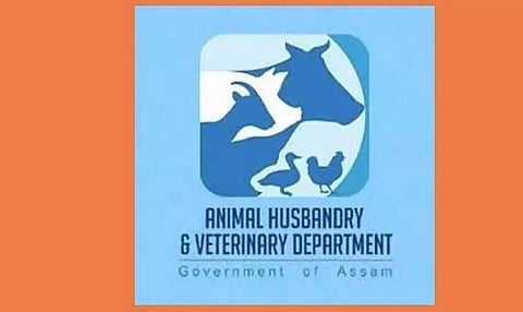 एएचवीडी, असम पशु चिकित्सा दवाओं और तैयारियों की आपूर्ति के लिए टेंडर आमंत्रित करता है- 2022_AHVD_23939_1
