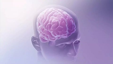 अतिरिक्त 'अच्छे कोलेस्ट्रॉल' का स्तर आपके मनोभ्रंश के जोखिम को बढ़ा सकता है: अध्ययन