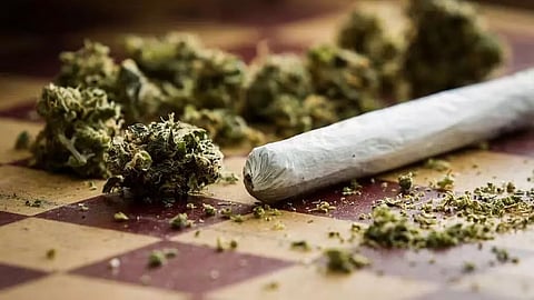 असम: लुमडिंग में 3 लाख रुपये मूल्य का गांजा जब्त