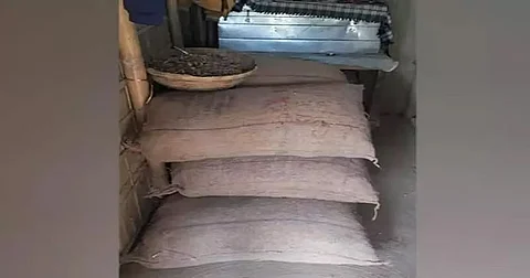 असम पुलिस ने हैलाकांडी जिले में 480 किलोग्राम बर्मी सुपारी जब्त की