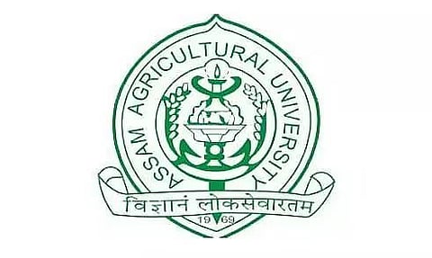 असम एग्रीकल्चरल यूनिवर्सिटी भर्ती 2023 - यंग प्रोफेशनल I रिक्ति, जॉब ओपनिंग