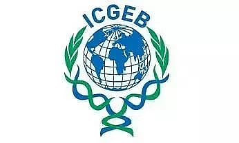 आईसीजीईबी भर्ती 2022 - परियोजना सहायक रिक्ति, नौकरी के अवसर