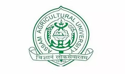 एएयू भर्ती (AAU Recruitment ) 2022 - यंग प्रोफेशनल- II वेकेंसी, जॉब ओपनिंग