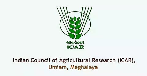 आईसीएआर मेघालय भर्ती 2022 - युवा पेशेवर रिक्ति, नौकरी के अवसर