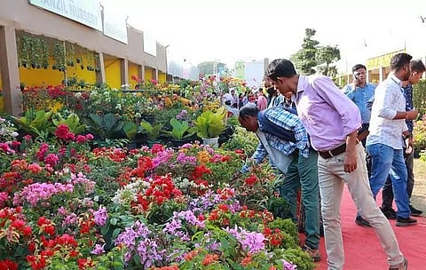 असम इंटरनेशनल एग्री-हॉर्टी शो-2022 में नर्सरी स्टॉल पर बिक्री आसमान छू रही है