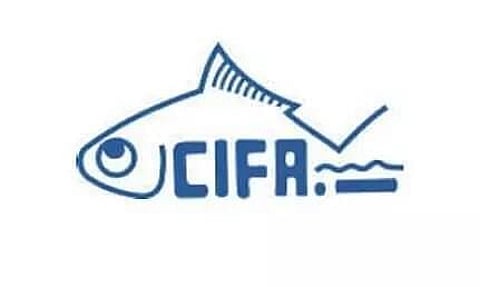 सीफा भर्ती 2022 - युवा पेशेवर- I, नौकरी के अवसर