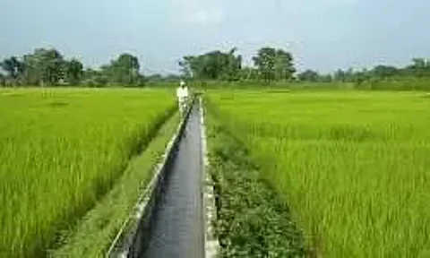 Ailments of State Irrigation Schemes:राज्य की सिंचाई योजनाओं को प्रभावित करने वाले कारण