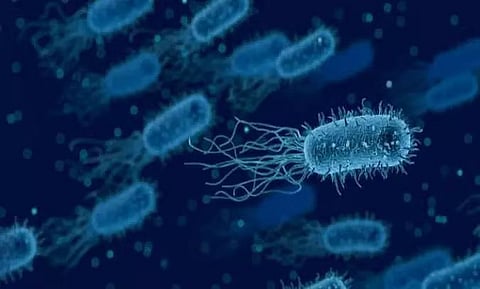 2019 में भारत में कम से कम 6.8 लाख मौतों के पीछे 5 बैक्टीरिया: अध्ययन