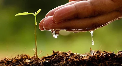 असम सरकार के विज्ञान और तकनीकी विभाग ने प्रशासन के साथ मिल कर मनाया पर्यावरण दिवस