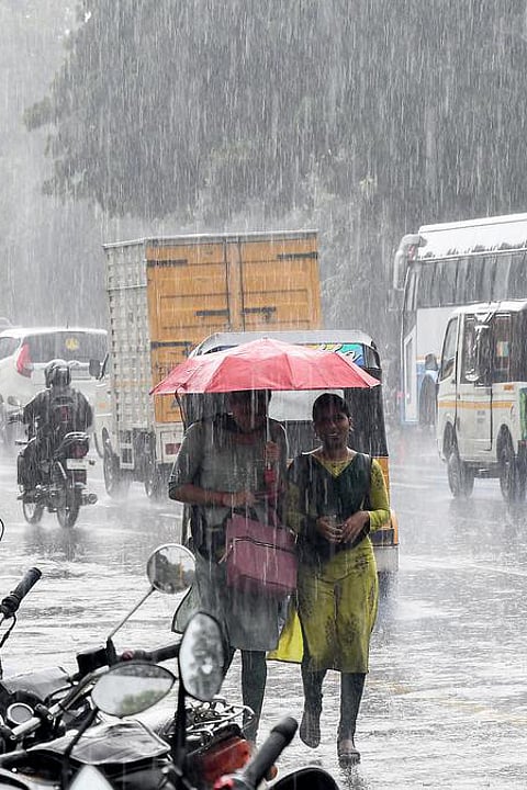 How to deal with rain diseases?