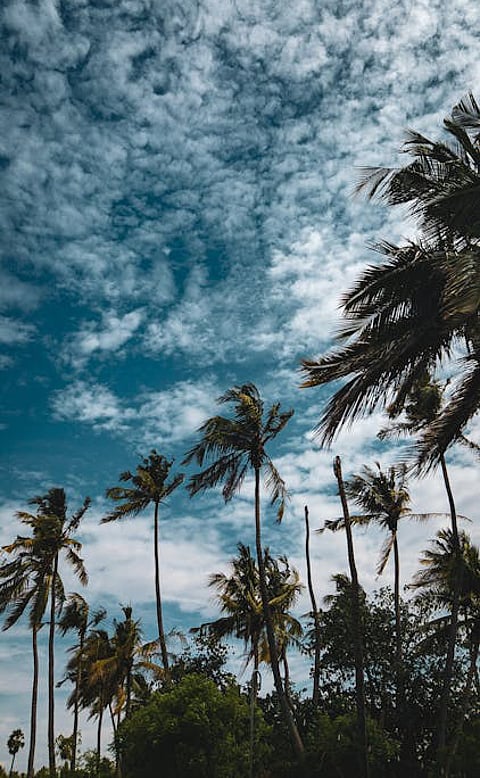 Storm Hurricane wind Cyclone