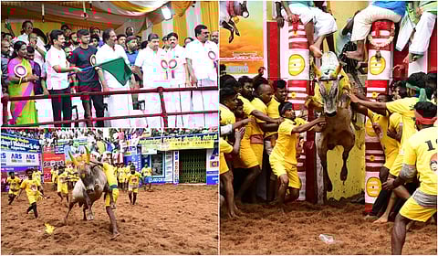 Madurai Alanganallur Jallikattu - Album