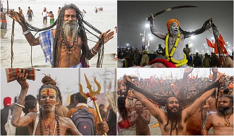 maha kumbh mela sadhu