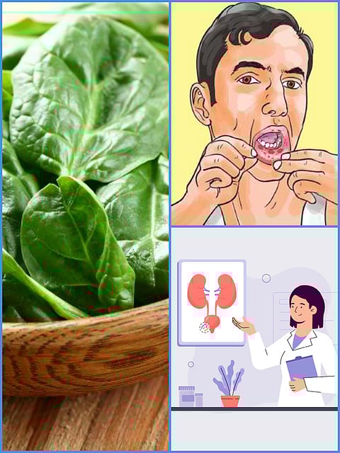Health benefits of Malabar spinach