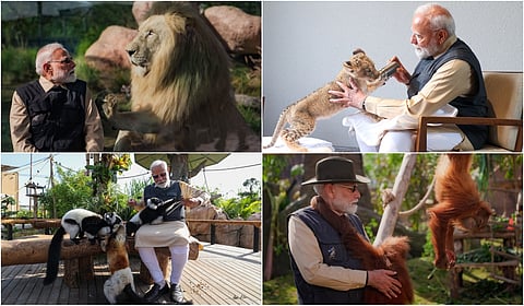 PM Modi inaugurates Wildlife Rescue, Rehabilitation Center At Vantara