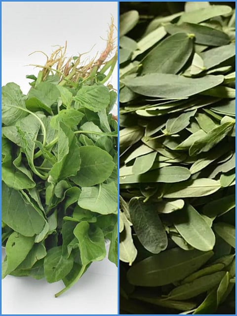 health benefits of arai keerai and agathi keerai