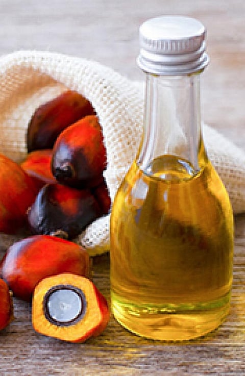 Is Palm Oil Bad for Our Health?