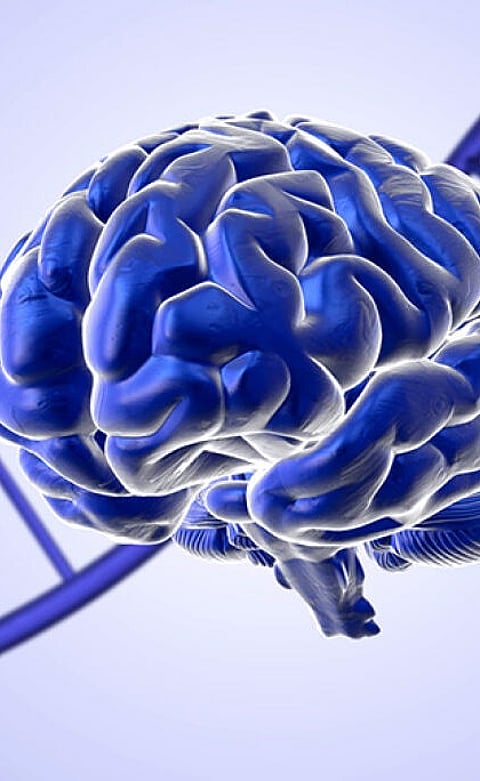 5 Foods that Give Energy to Brain!