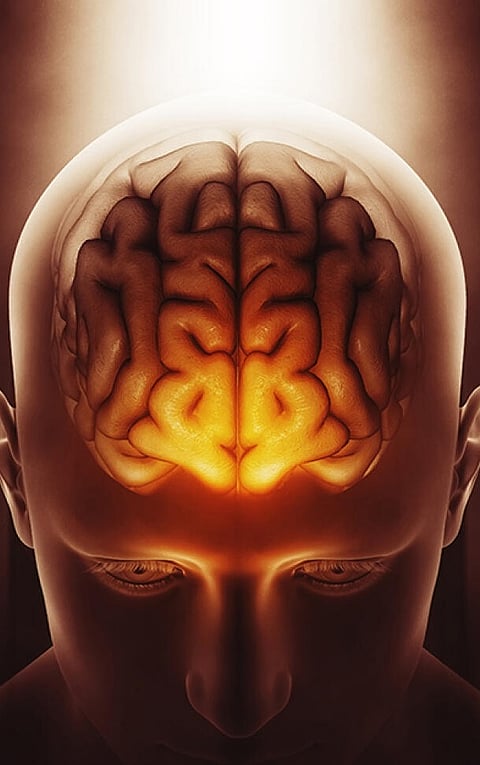 What are the Foods that Sharpen Your Intellect?