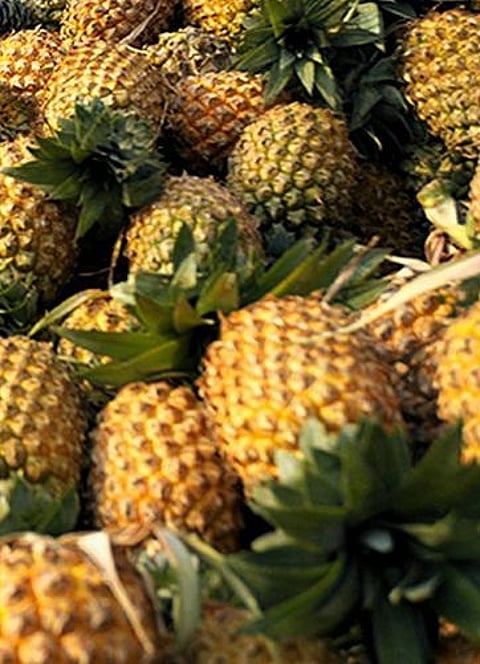 Why is Pineapple Important to Us? - Siddha Medicine Notes