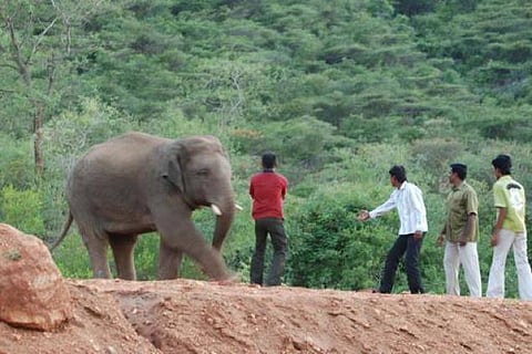 தலையில் மண்ணைப் போட்டுக்கொள்ளும் மனிதகுலம்