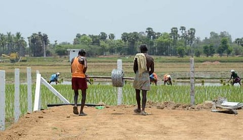 இயற்கையும் வஞ்சித்திடின்... என் செய்வானடி கிளியே!