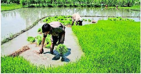 5.8 சதவீத வளர்ச்சி: அசோசேம்