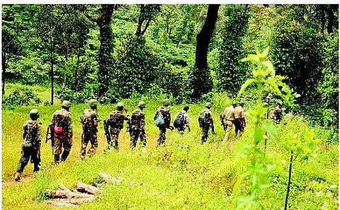 தமிழக வனப் பகுதியில் கேரள வேட்டைக் கும்பல்