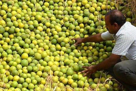 ஆயுதபூஜைக்காக கோயம்பேட்டில் குவியும் பழம், பொரி, வாழை