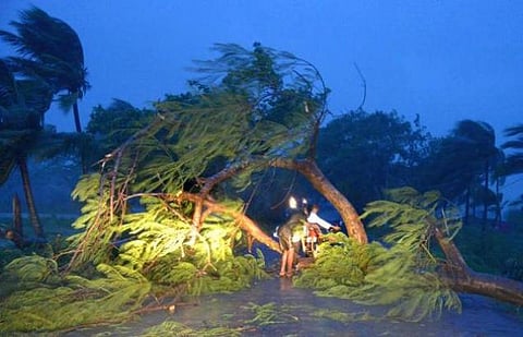 பைலின் புயலால் 90 லட்சம் பேர் பாதிப்பு; ரூ.2,400 கோடி மதிப்பிலான பயிர்கள் நாசம்