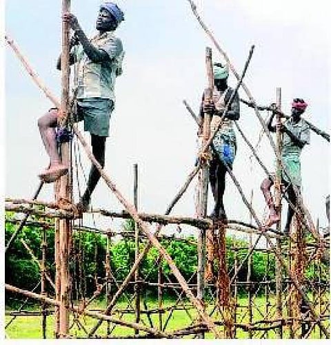 தீவுத் திடல் பட்டாசு கடை: தீர்ப்பு மதிக்கப்படுமா?