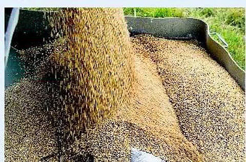 பாஸ்லி ஆண்டு - என்றால் என்ன?