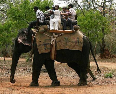 வண்டலூர் பூங்காவில் யானை சவாரி நிறுத்தப்பட்டதால் ஏமாற்றமடையும் சுற்றுலாப் பயணிகள்