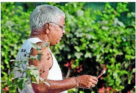 லாலுவுக்கு தோட்டக்காரர் வேலை: ராஞ்சி சிறையில் புதிய பணி