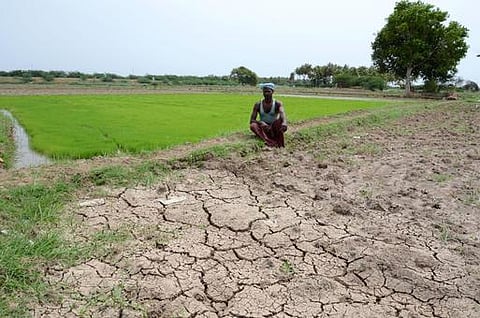 காவிரி டெல்டா பாசனத்தை உறுதி செய்ய நிரந்தரத் திட்டங்கள் தேவை