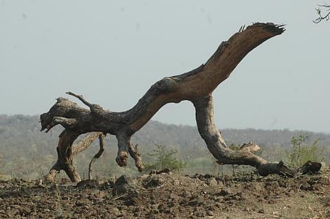 பருவ நிலை மாற்றம்: ஐ.நா.வின் 19-வது மாநாட்டில் இந்தியாவின் எண்ணம் நிறைவேறுமா?