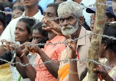 போரில் இறந்தோரை கணக்கெடுக்க தொடங்கியது இலங்கை அரசு
